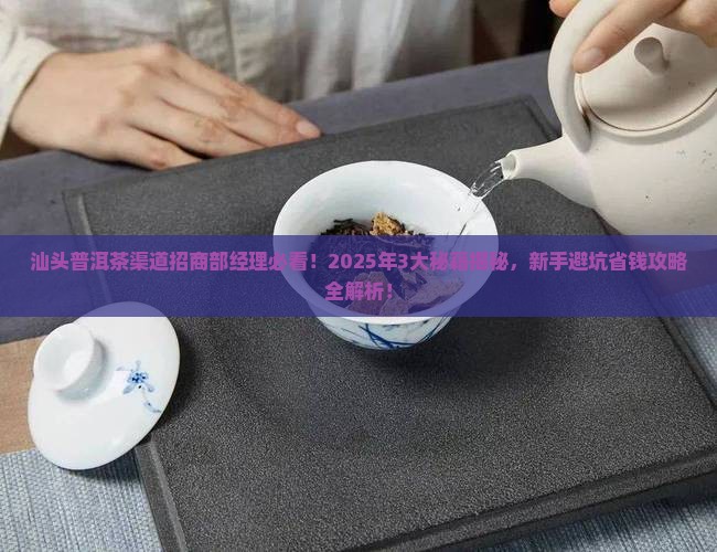 汕头普洱茶渠道招商部经理