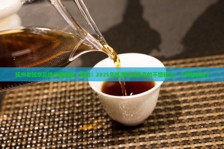 抚州老班章品牌代理加盟