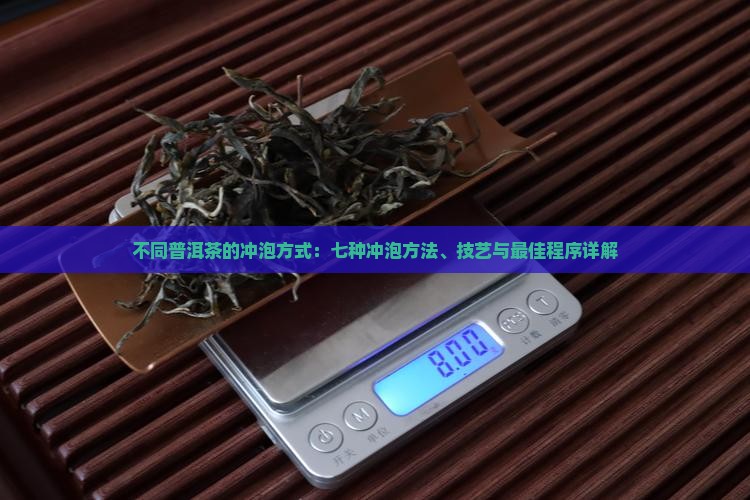 不同普洱茶的冲泡方式