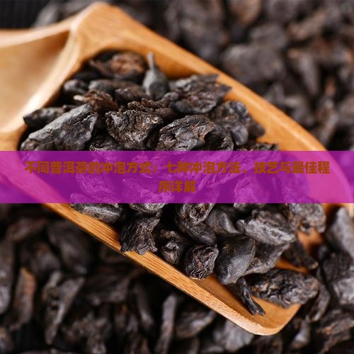 不同普洱茶的冲泡方式