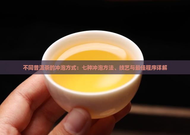 不同普洱茶的冲泡方式