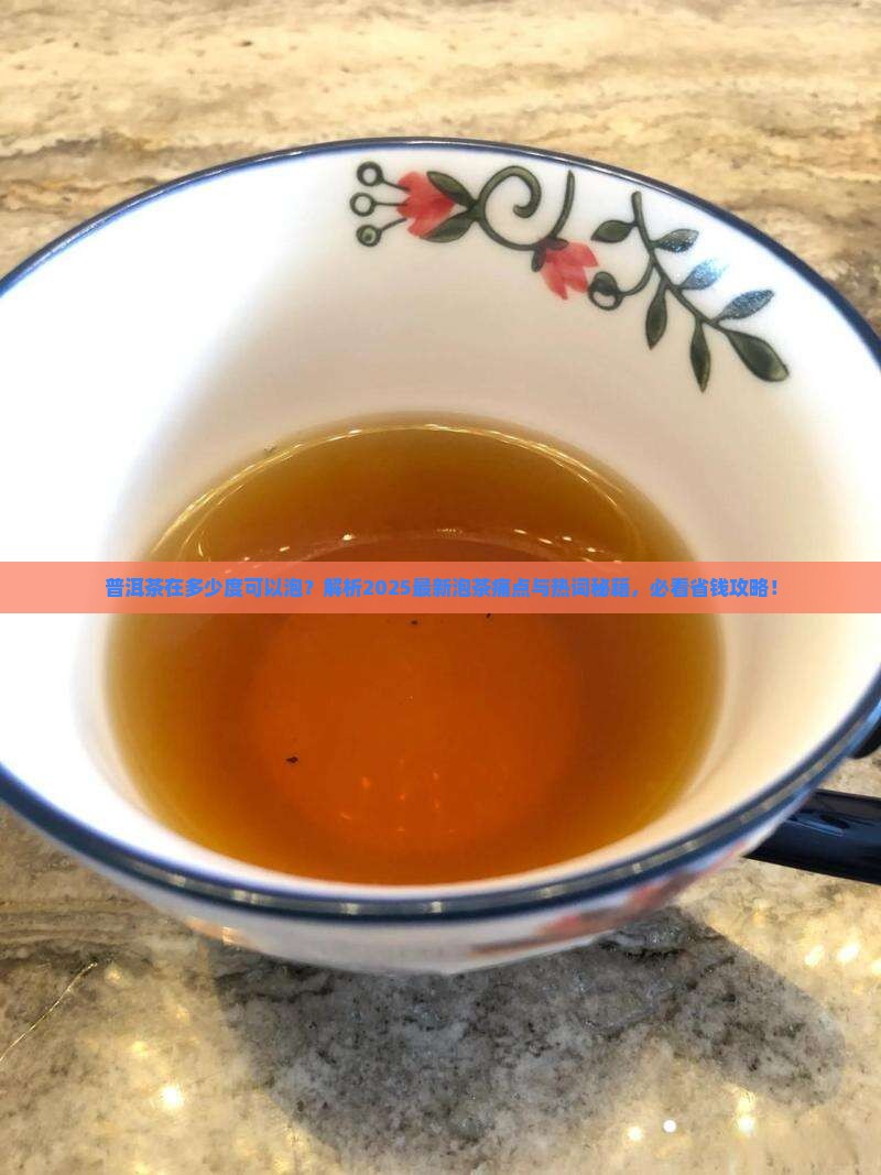 普洱茶在多少度可以泡