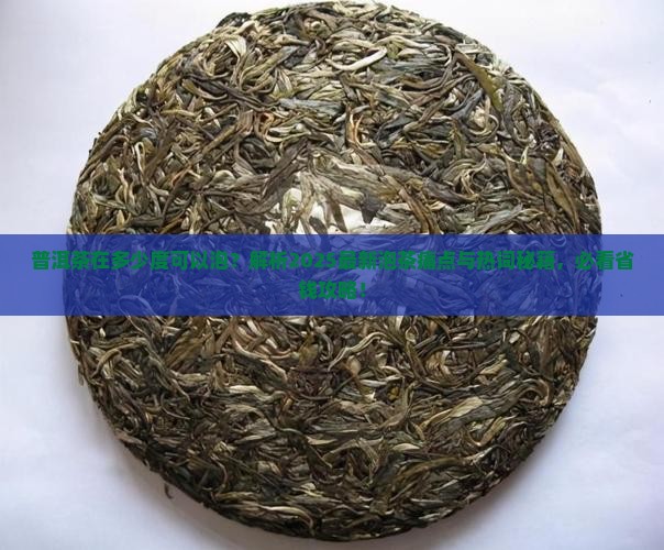 普洱茶在多少度可以泡