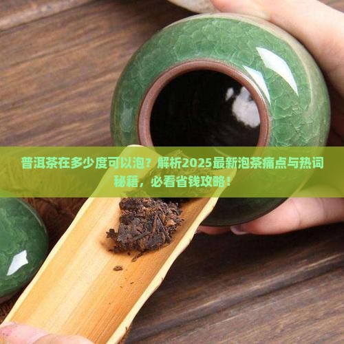 普洱茶在多少度可以泡