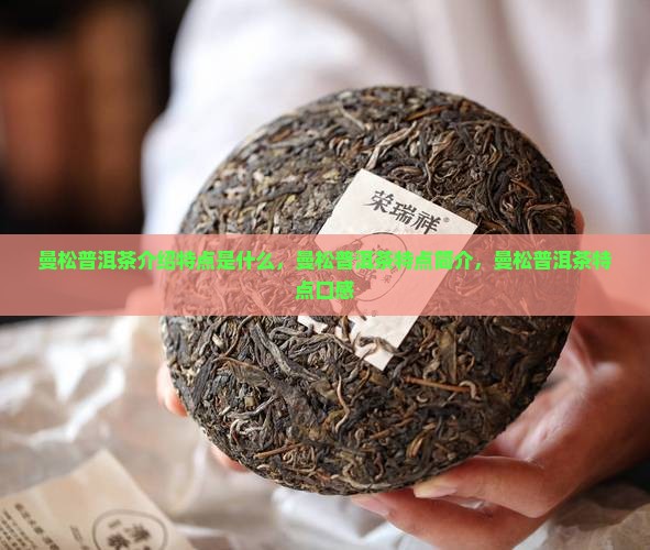 曼松普洱茶介绍特点