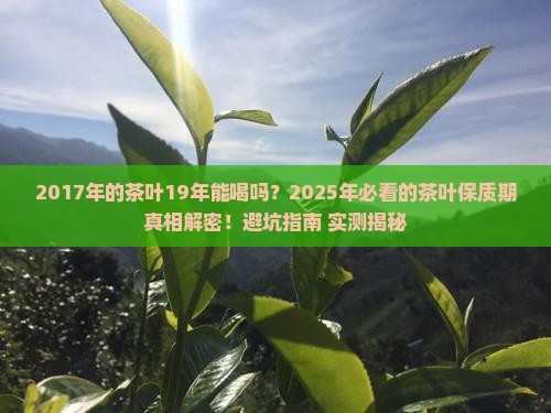 2017年的茶叶19年能喝吗