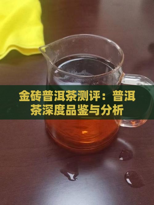 金砖普洱茶测评