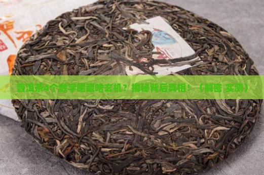 普洱茶4个数字代表什么