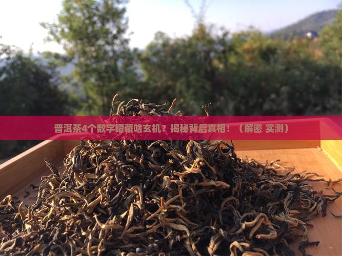 普洱茶4个数字代表什么