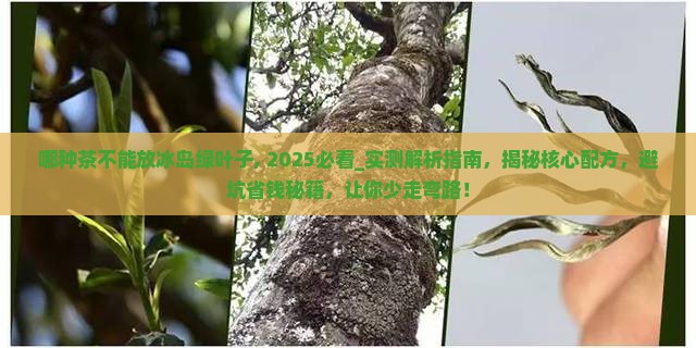 哪种茶不能放冰岛绿叶子