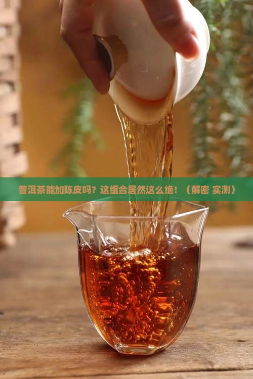 普洱茶能加陈皮吗