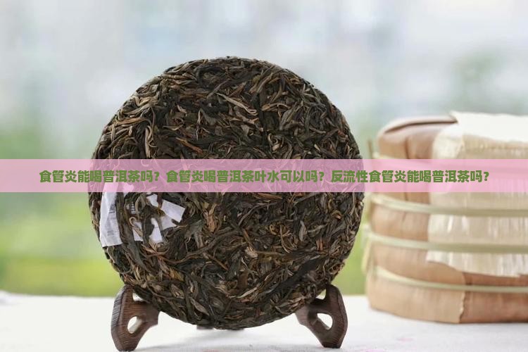 食管炎能喝普洱茶