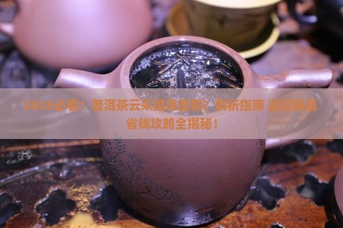 普洱茶云采是什么意思