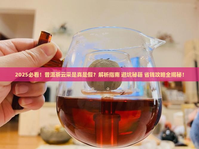 普洱茶云采是什么意思