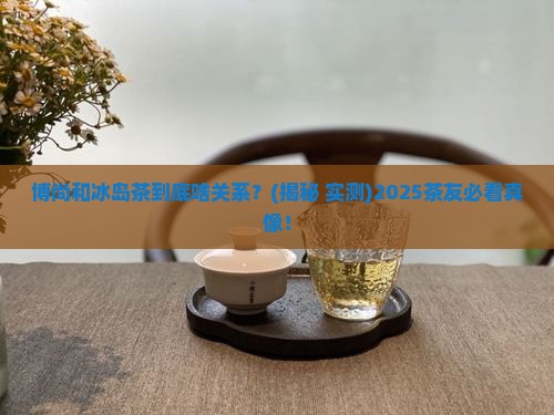 博尚与冰岛茶关系