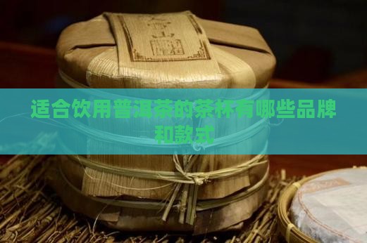 适合饮用普洱茶的茶杯有哪些