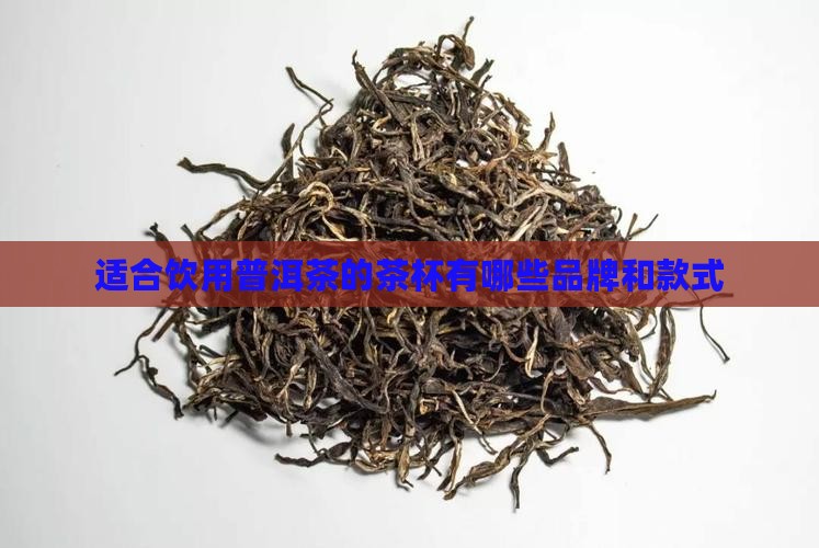 适合饮用普洱茶的茶杯有哪些