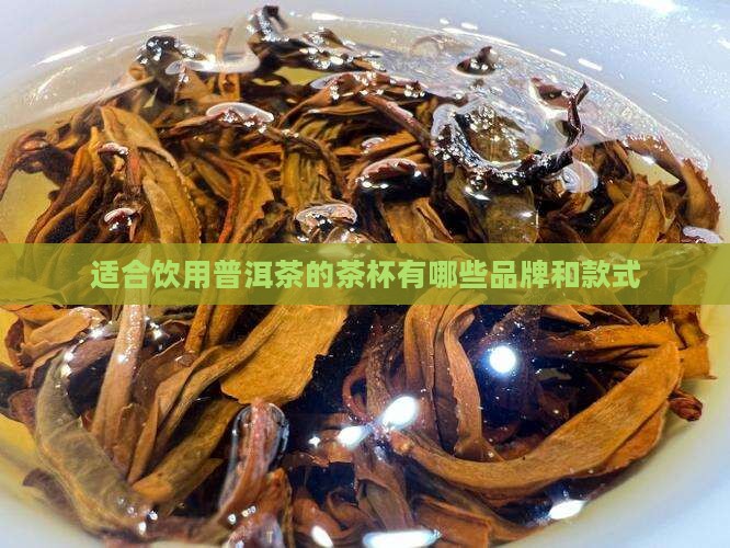 适合饮用普洱茶的茶杯有哪些