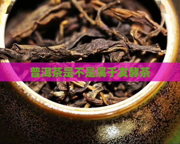 普洱茶是不是属于发酵茶