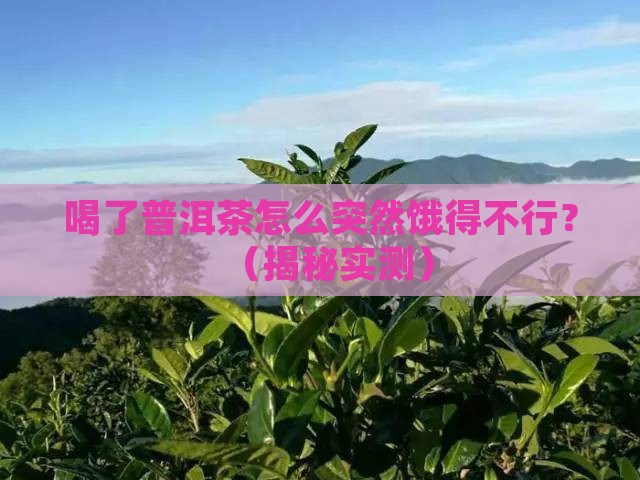 喝了普洱茶肚子饿的咕咕叫