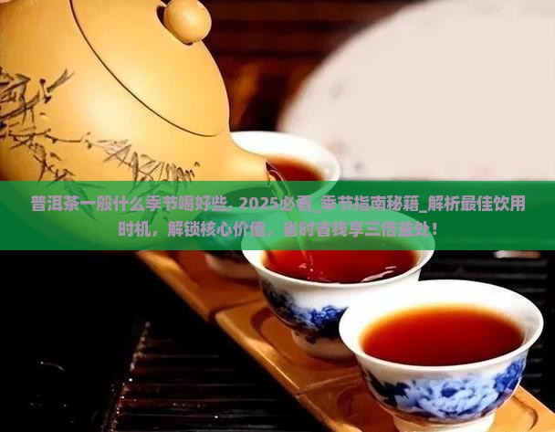 普洱茶一般什么季节喝好些