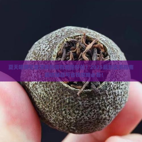 夏天菊花普洱茶