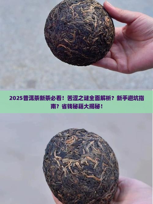 普洱茶新茶都苦涩吗怎么回事
