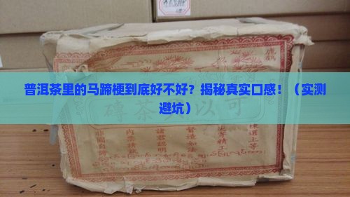普洱茶里的马蹄梗好不