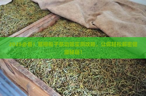 葛根栀子茶的功效与作用