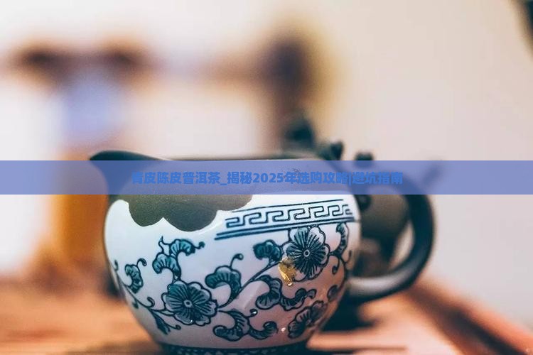 青皮陈皮普洱茶