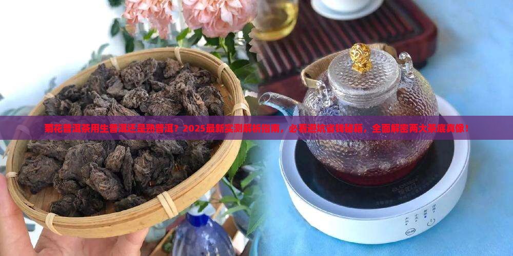 菊花普洱茶用生普洱还是熟普洱