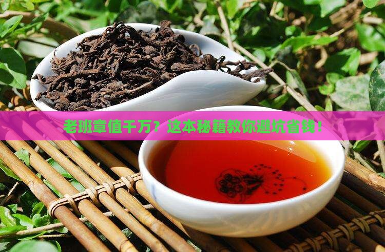 老班章价值一千万