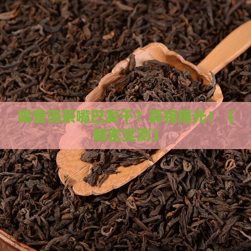喝普洱茶嘴巴发干