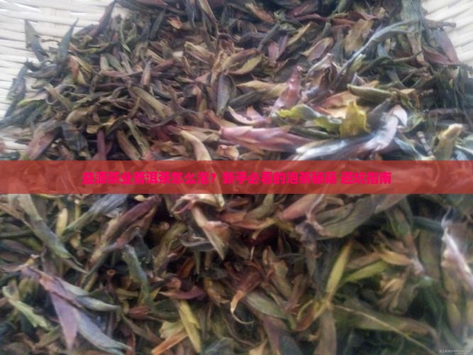 益源茶业普洱茶怎么样泡