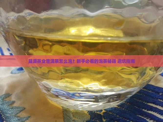 益源茶业普洱茶怎么样泡