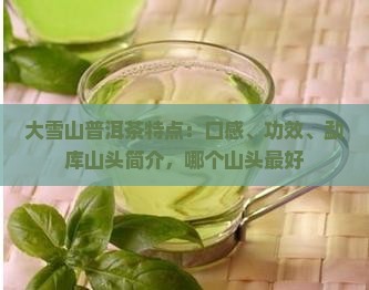 大雪山普洱茶特点