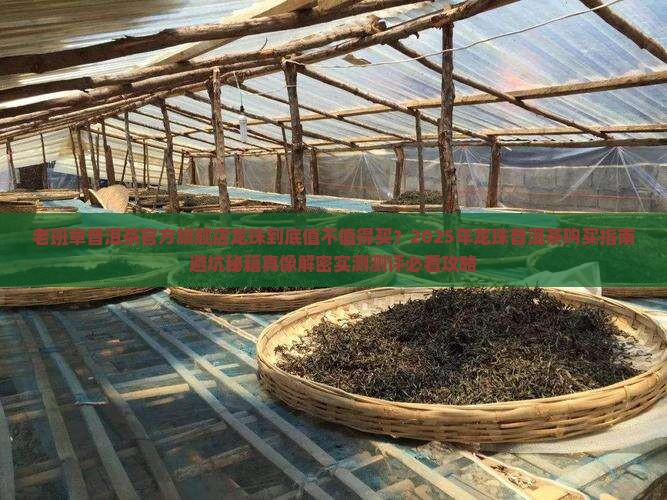 老班章普洱茶官方旗舰店龙珠