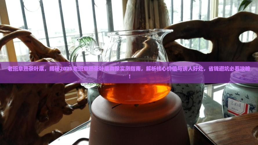 老班章熟茶叶底