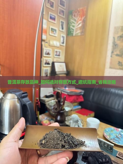 普洱茶存放品种