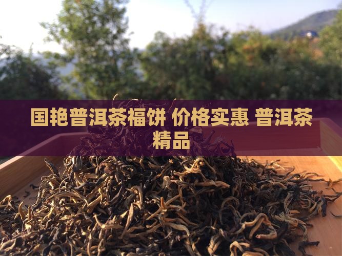 国艳普洱茶福饼