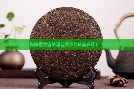 六堡茶和普洱茶发酵区别