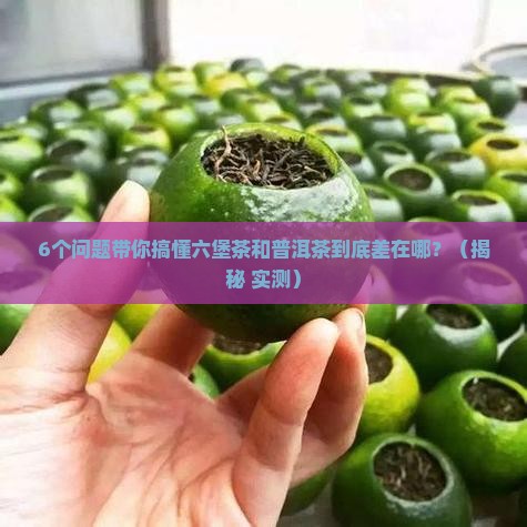六堡茶和普洱茶发酵区别