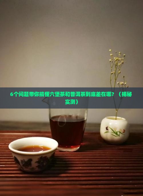 六堡茶和普洱茶发酵区别