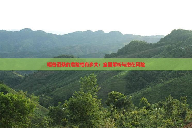 喝普洱茶的危险性有多大