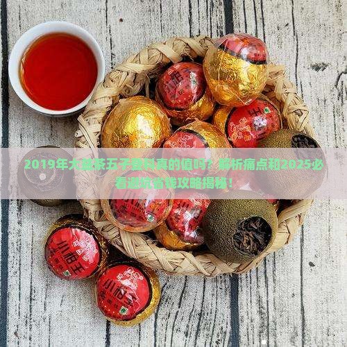 2019年大益茶五子登科