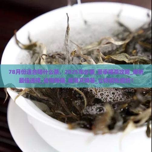 78月份适合喝什么茶