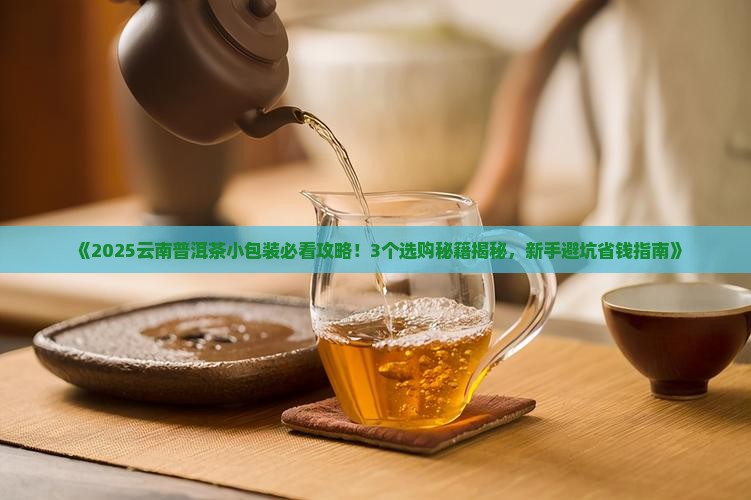 云南普洱茶小包装