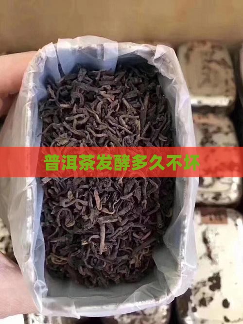 普洱茶发酵可以放几天不坏