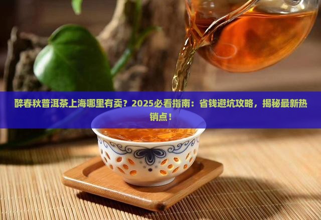醉春秋普洱茶上海哪里有卖