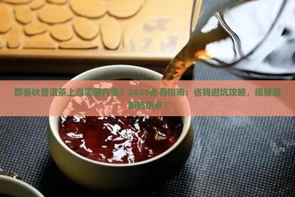 醉春秋普洱茶上海哪里有卖
